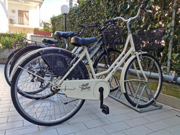 hotelbelliniriccione en offer-7-6-in-riccione 015