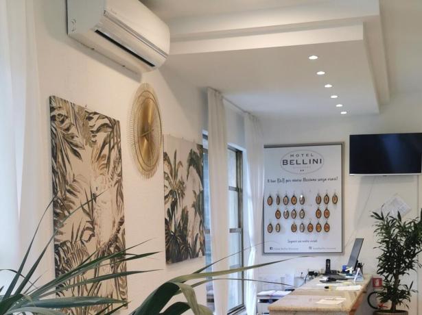 hotelbelliniriccione en sigep-2024-offer-in-a-hotel-in-riccione-near-the-rimini-fair-15-minutes-by-train 015